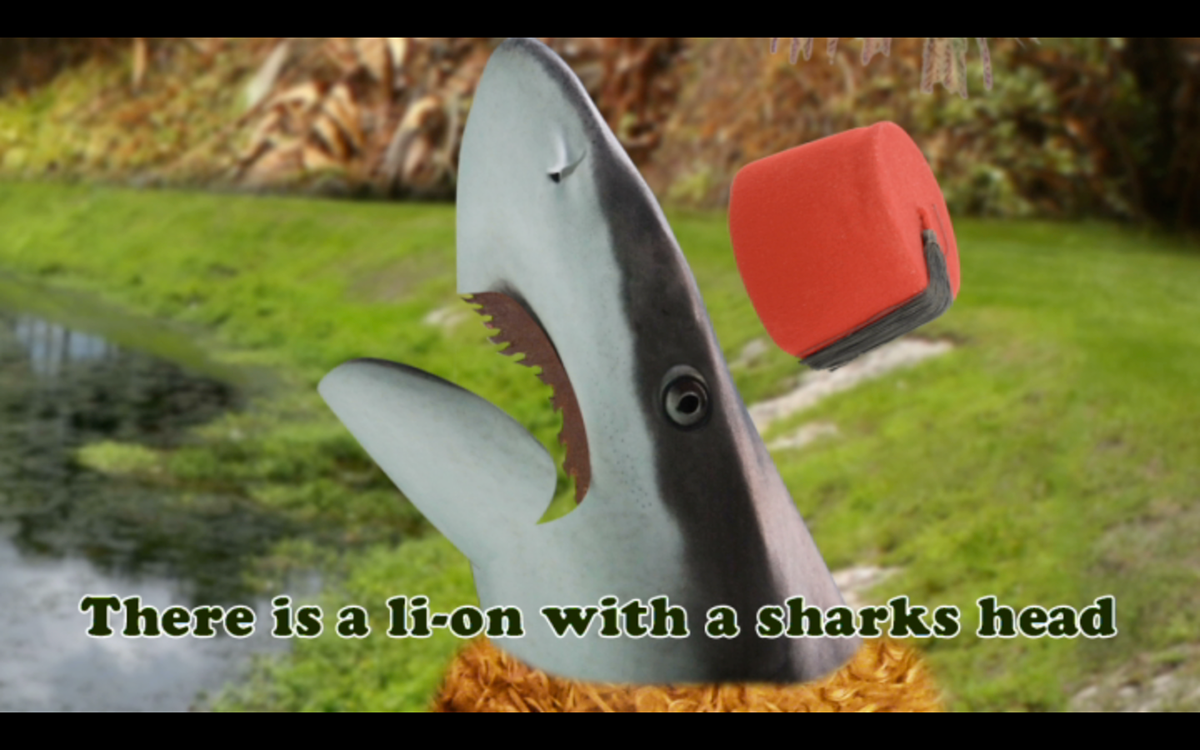 dan deacon lion shark 2D music video