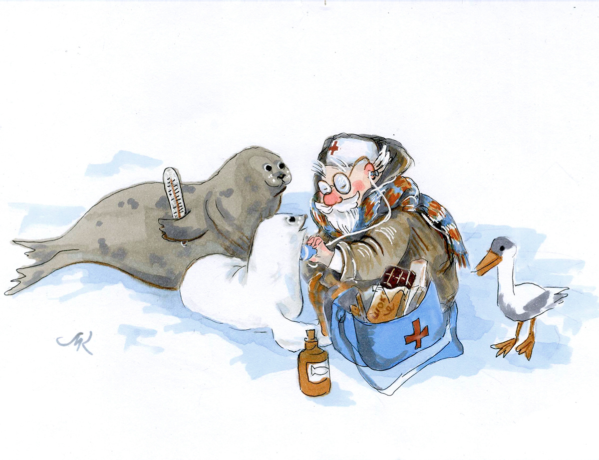 Доктор Айболит в Арктике лечит тюленей.