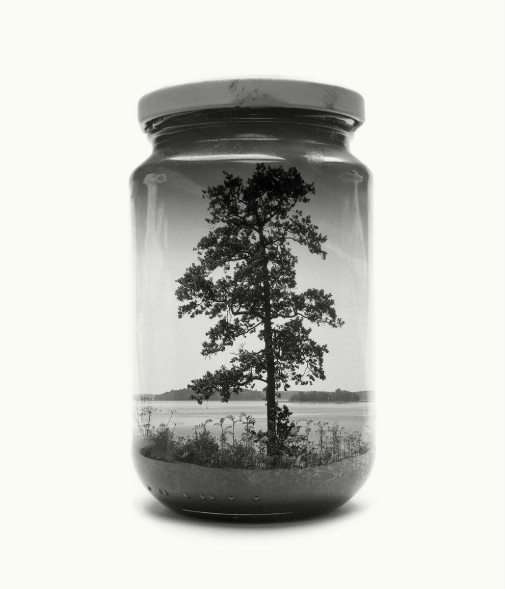 double exposure multiple exposure medium format Film   Nature finland analog in-camera jarred & displaced Christoffer Relander