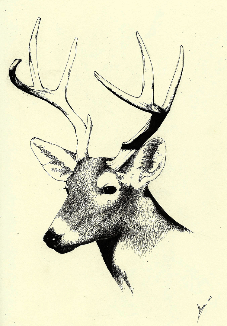 ciervo deer ink paper