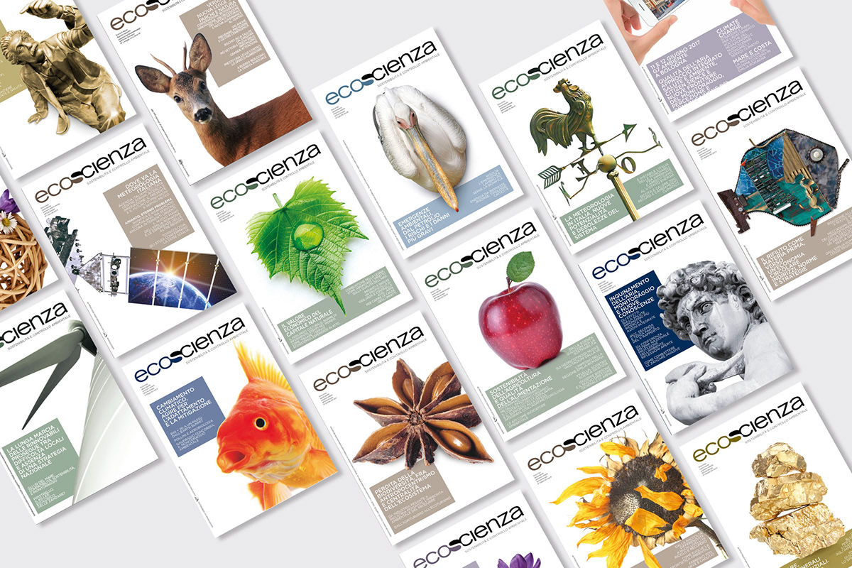 graphic design  brochure design cover design printed design ArtDirection Creativity product design  editorial design  book cover creativecloud