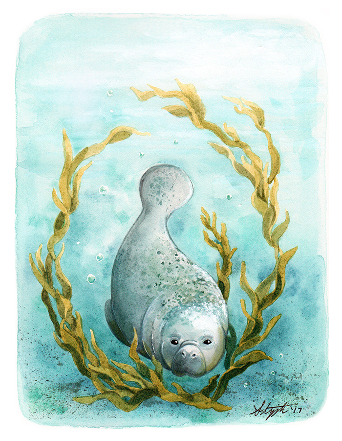 manatee animals watercolor painting marine Ocean