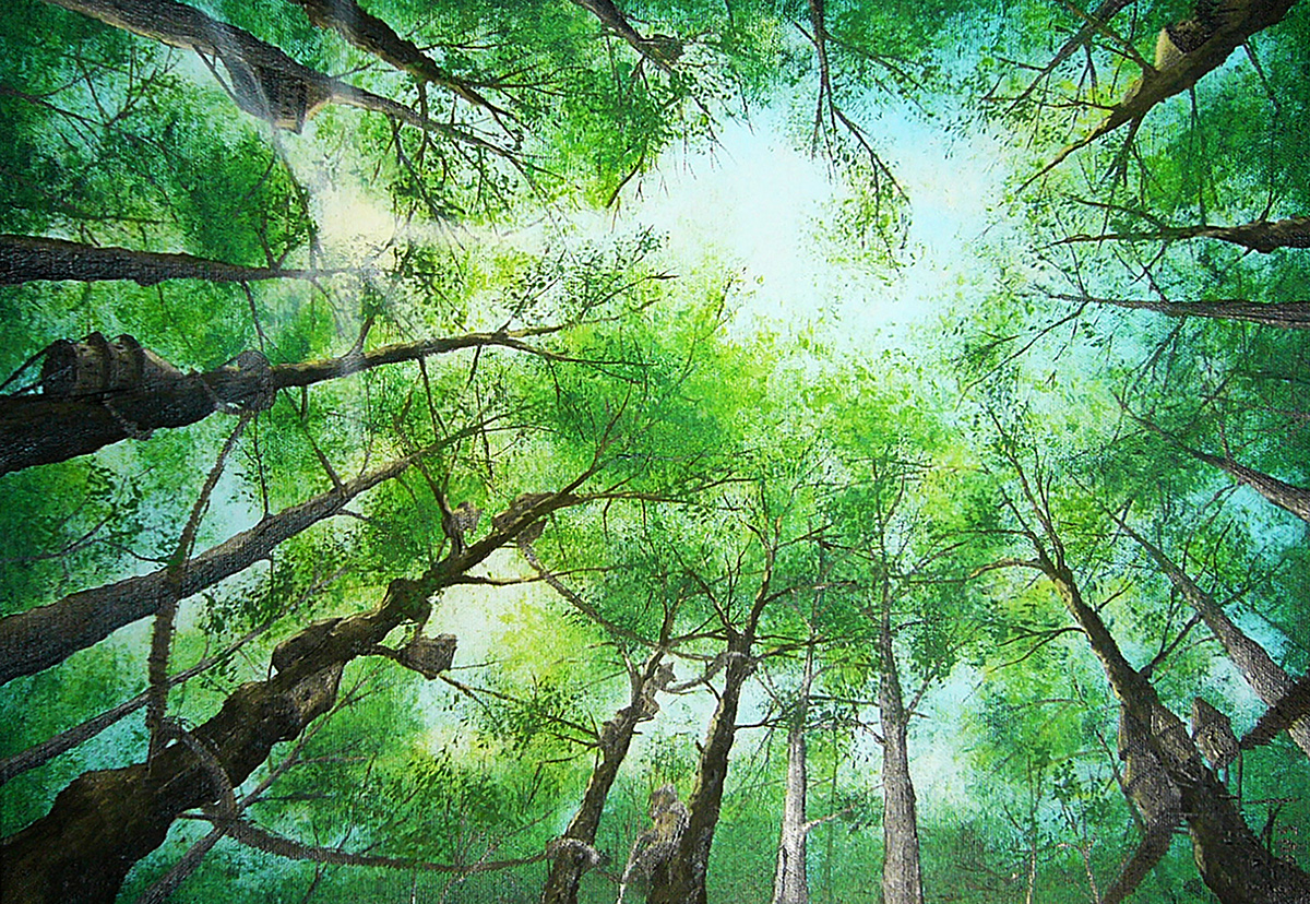 Oils canvas artist Compilation portfolio freepaint Nature classic paintings