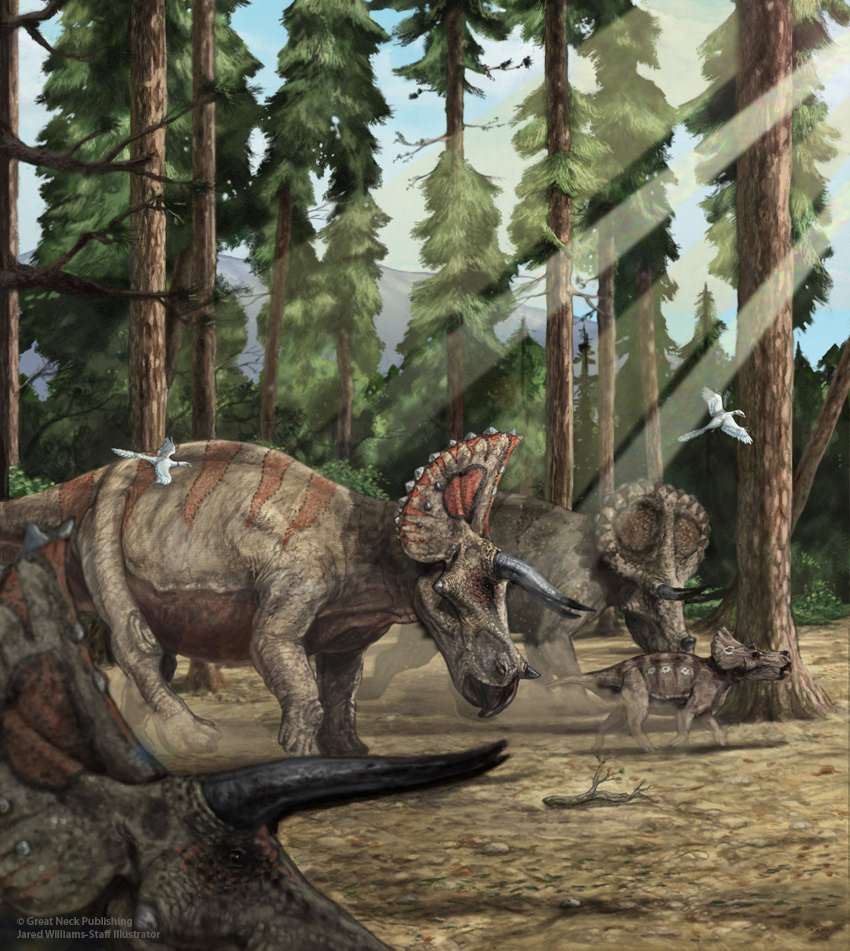 Dinosaur  prehistoric natural history science