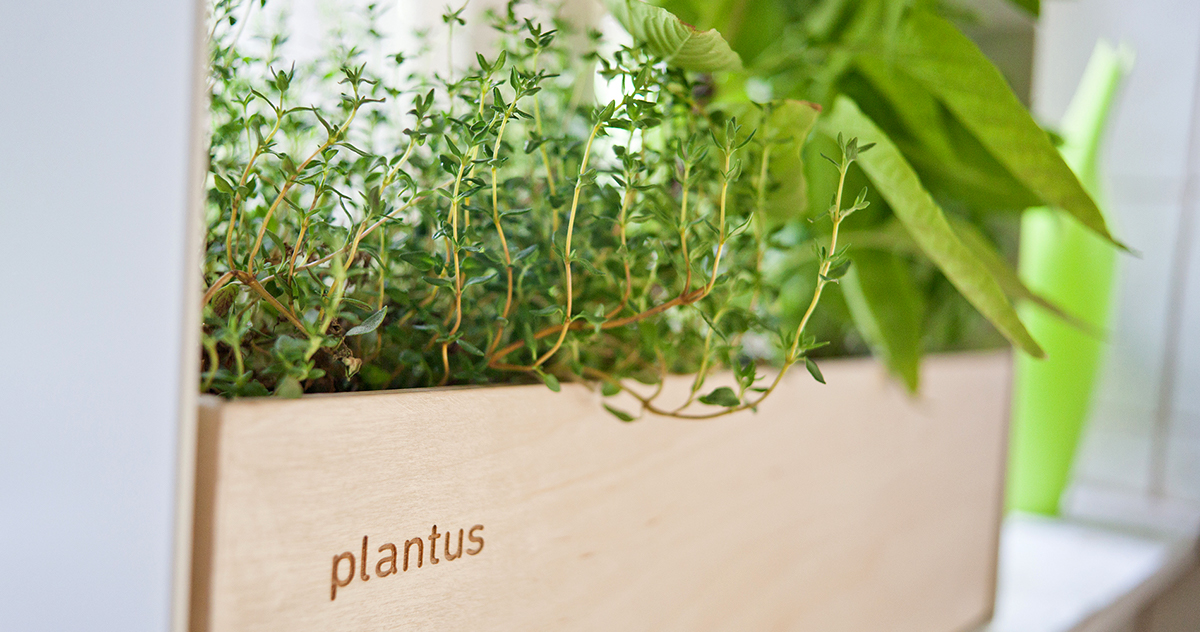 plantus Nature Planter Urban indoor gardening Plant grow