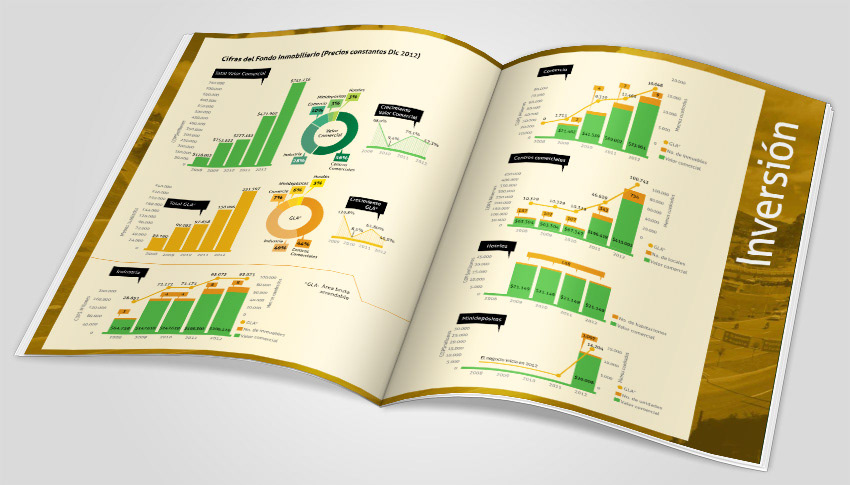 book  libro  informe  informe anual annaula report editorial books graphics spreads