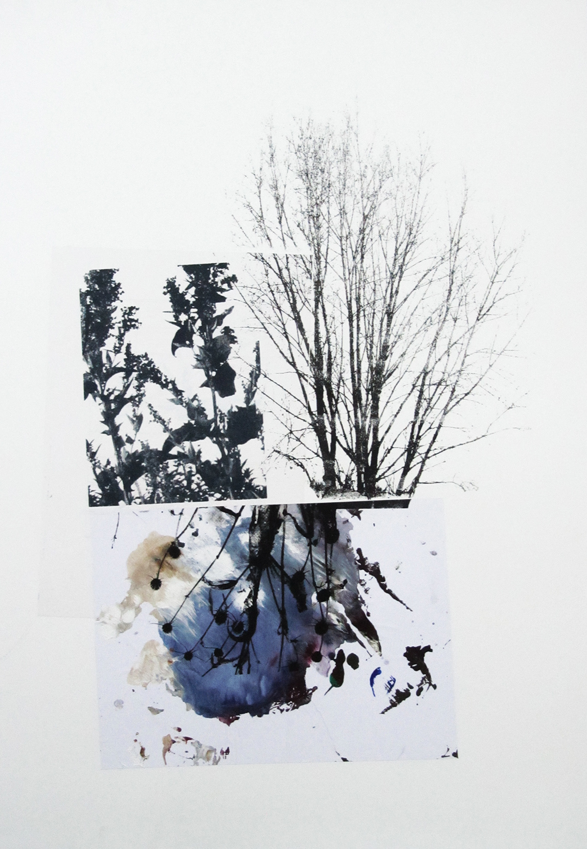 Landscape paisaje serigrafia silkscreen collage Nature naturaleza