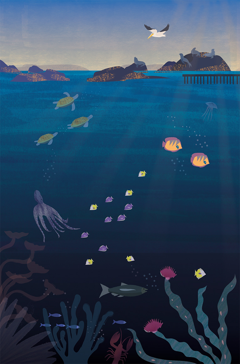 editorial Editorial Illustration bioluminescence sealife Ocean underwater animals book illustrations Album Ilustrado marineillustration