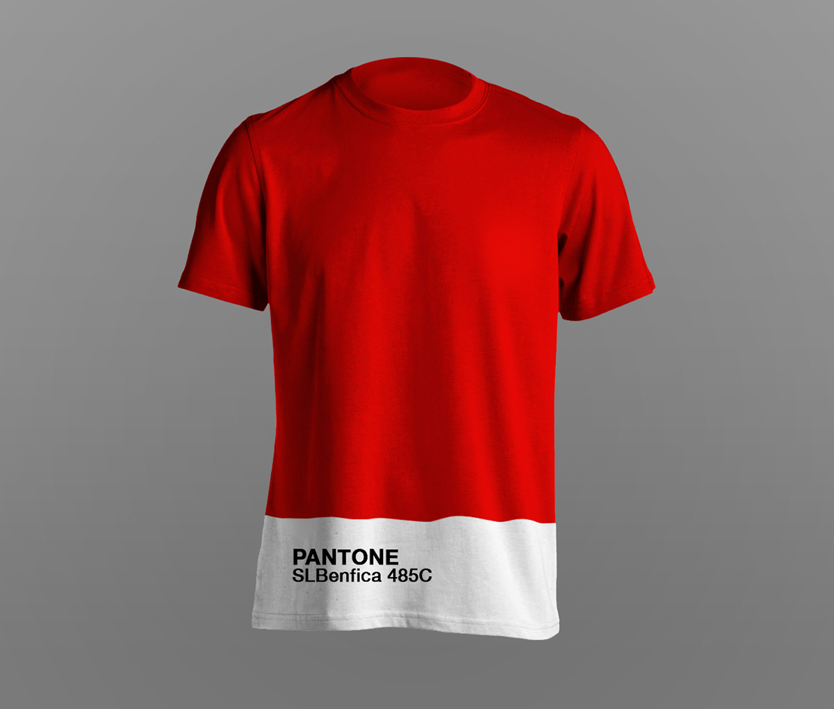 soccer football barcelona pantone benfica sporting porto Bayern ac milan milano colour munich lisboa FCBarcelona