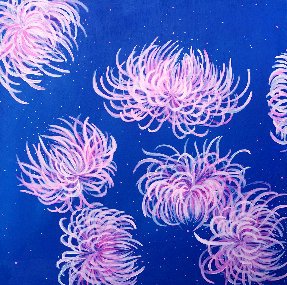 Chrysanthemum botanical pink blue abstract jellyfish Ocean Flowers pattern Claire Thompson for sale commission