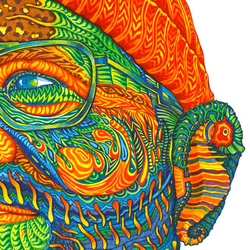 portrait ink ink Art bill murray Steve Zissou pangeaseed 1xrun face Character colorful sea Ocean pattern