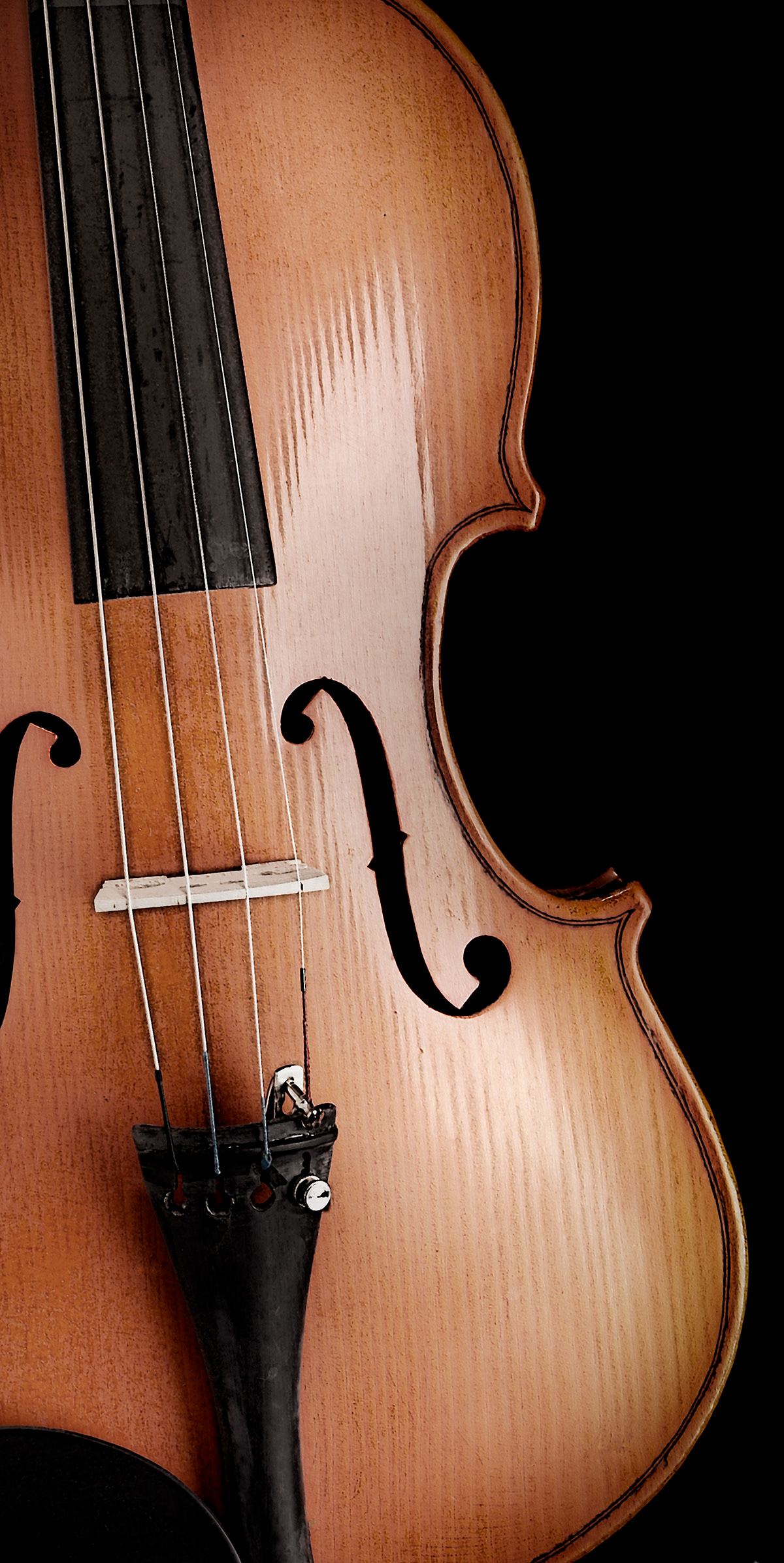A graphic closeup photographic image of a old but still playable high school violin