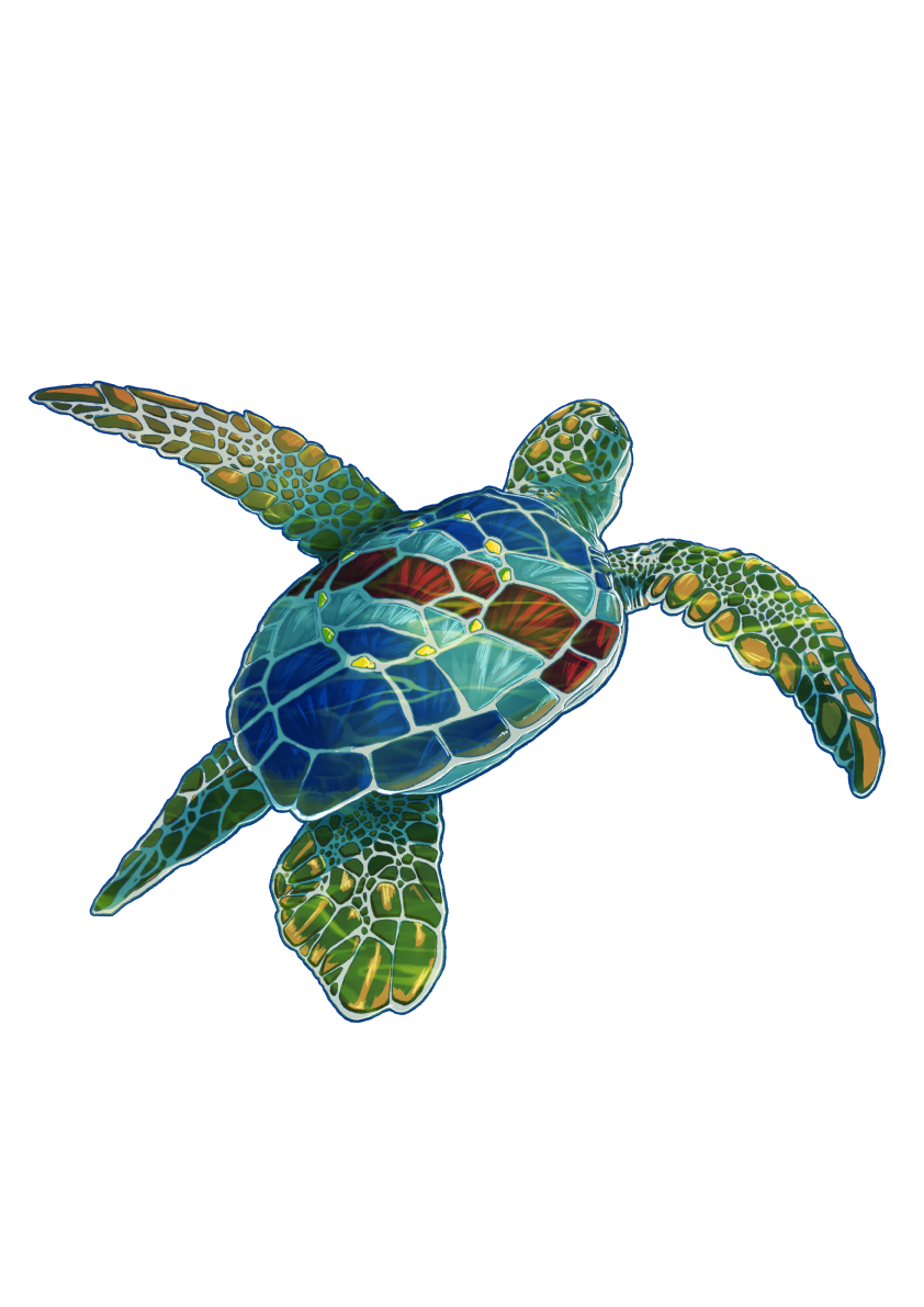 art beach cabo verde digital painting DK dkaotic ILLUSTRATION  Loggerhead sunshine Turtle