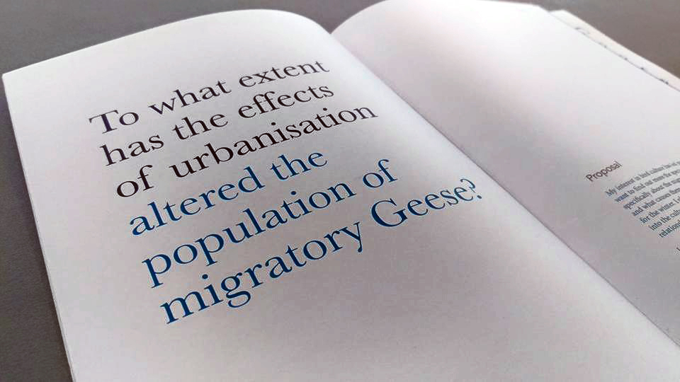 uca geese migration infographic information design illustrations posters app Urbanisation climate change editorial bird pocket guide characteristics Perils