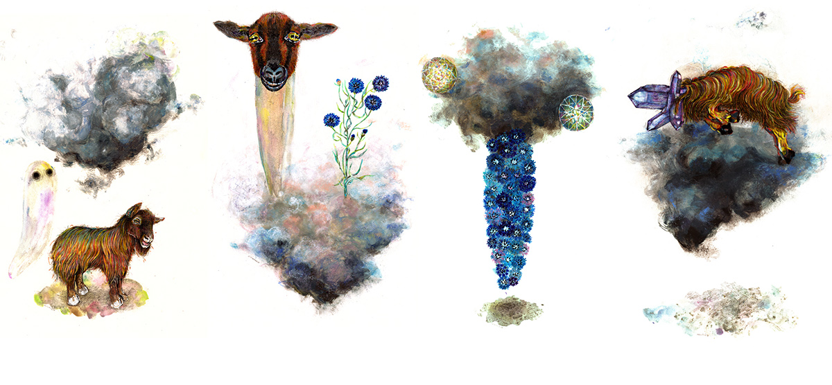 cloud ghost goat flower reaction evolution draw Pastells ink