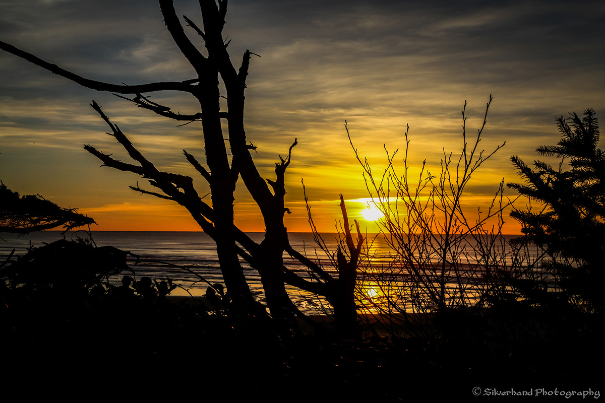 beach Northwest Coast Bicycles sunsets washington coast