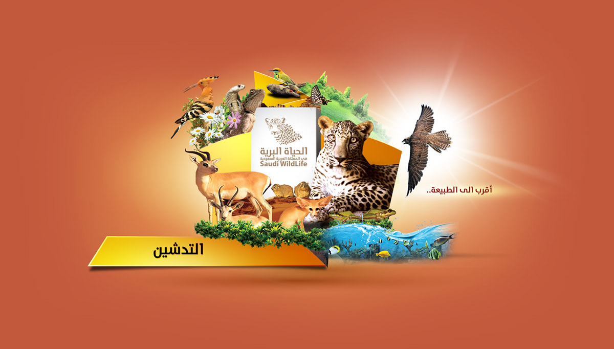 Saudi wildlife tabuk