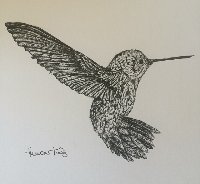 ink hummingbird Drawing 