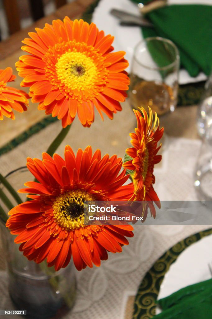 stock stock photography images photo foto Getty Images istock Photography  photographer photoshoot