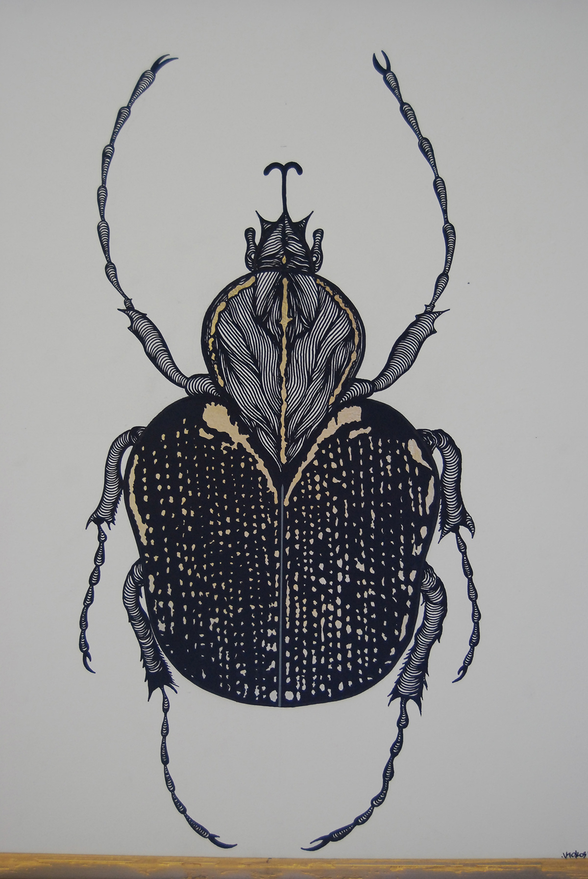 pattern animals beetle surrealist insect