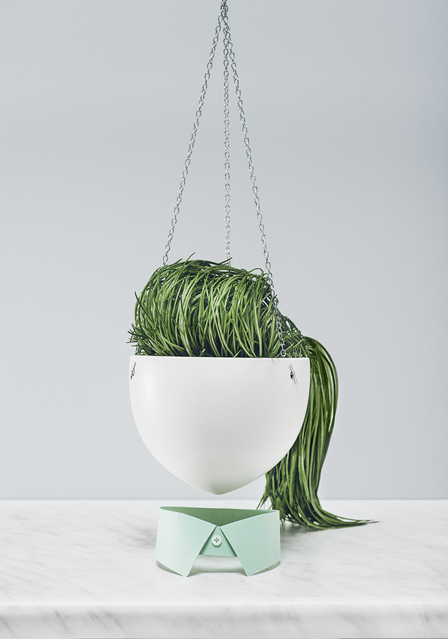 Plant hair green face vegetable hairstyle flower flowerpot