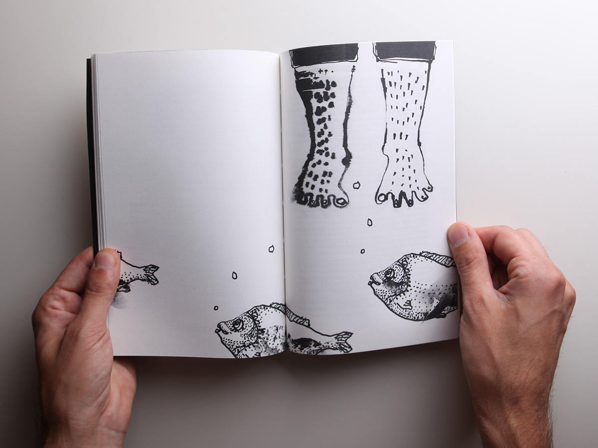 book design  illustrations  cover design