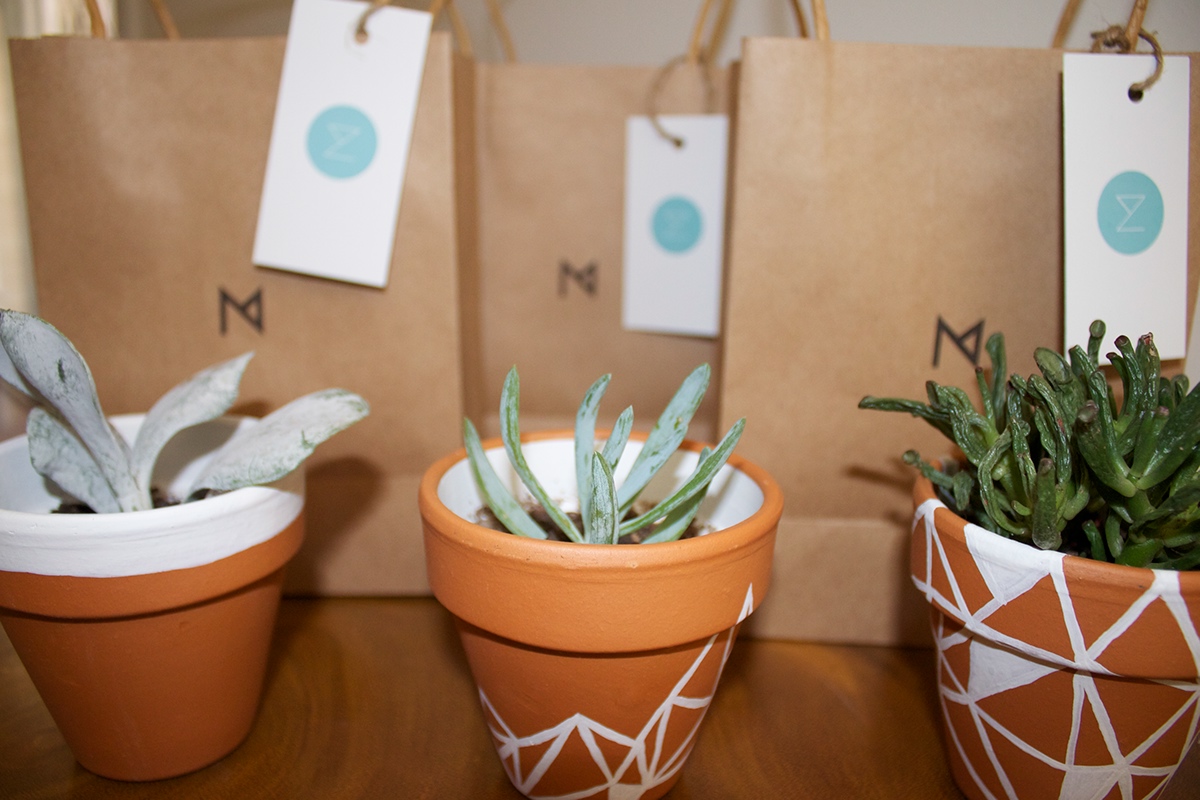 promo item Paper Bags Pots painted pots terricota Succulents Self Promo portfolio
