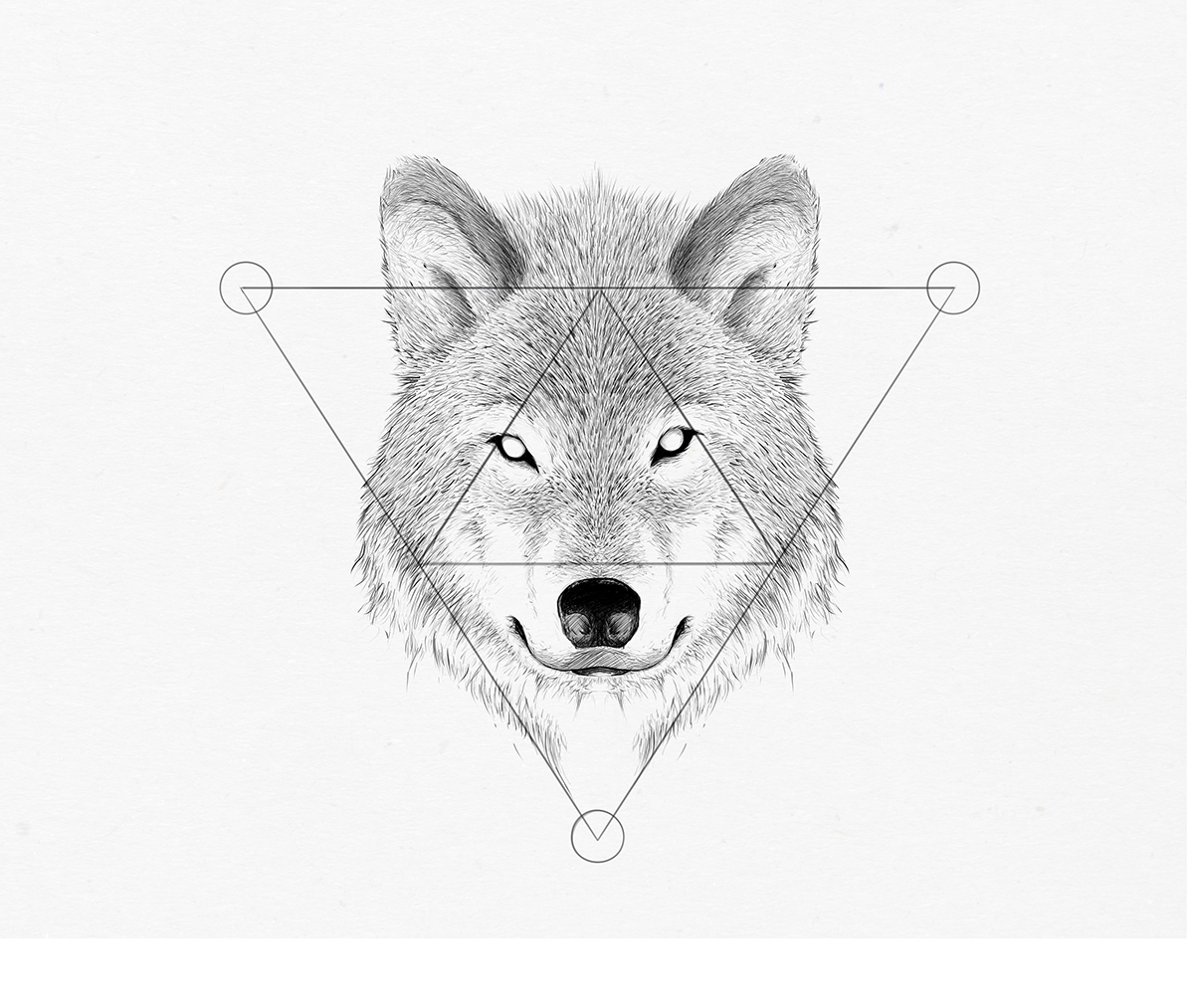 Adobe Portfolio photoshop animals Spirit Animal sketchbook pencil Digital Art  wildlife Nature Drawing 