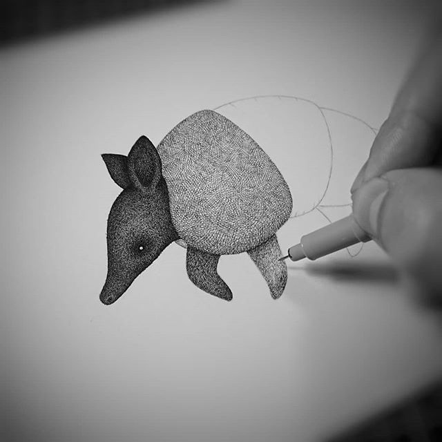 ILLUSTRATION  pen paper cross hatching Pointillism animal armadillo draw Drawing 
