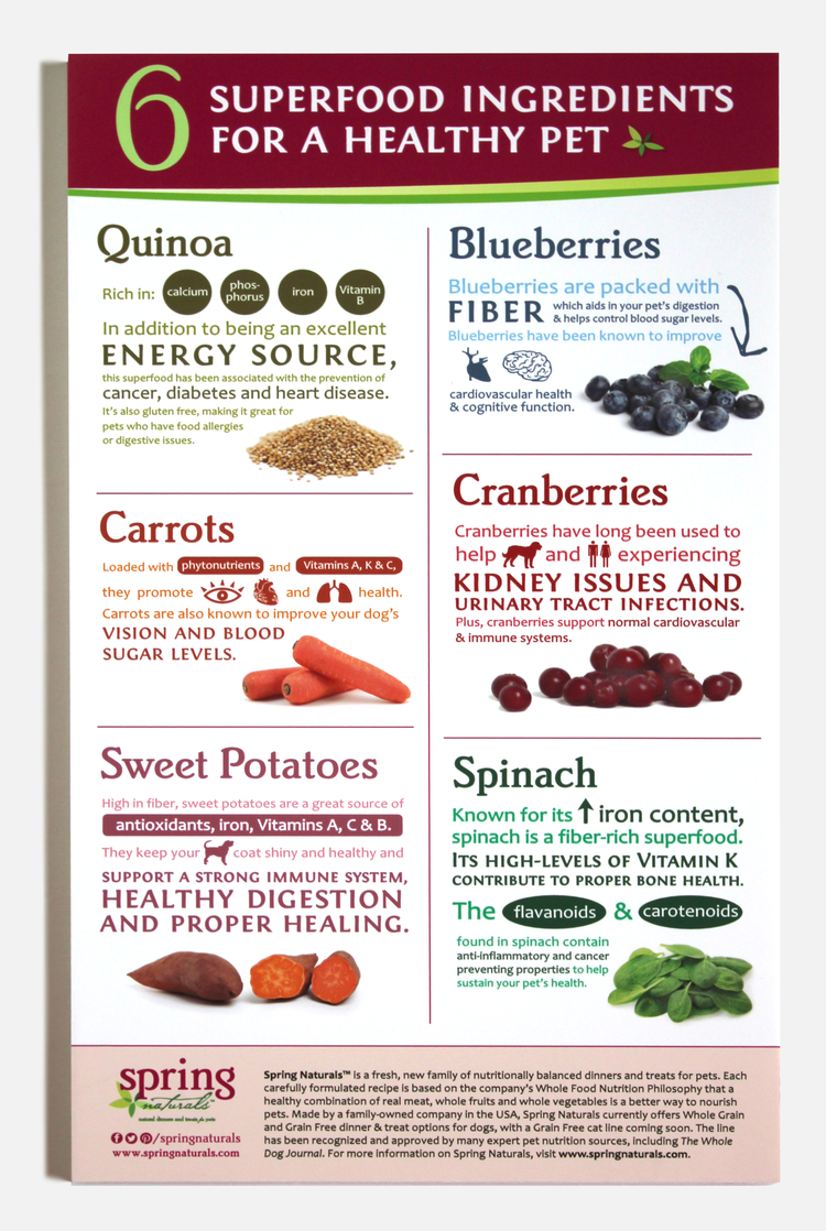 infographic superfood dog food Health blueberries quinoa spinach cranberries carrots sweet potatoes health infographic healthy human health infographic design