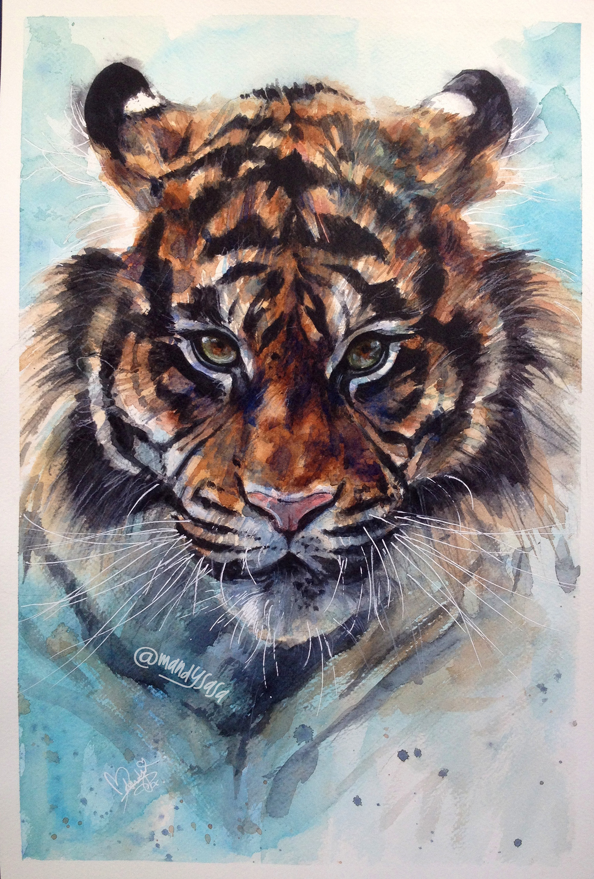 watercolour tiger animal wild cat Cat paint