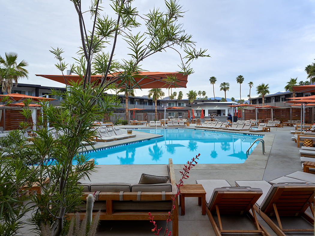 Palm Springs hotel Landscape Pool Landscape Architecture  mid century cabana dry garden