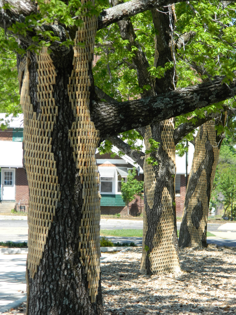 Gerry Stecca stecca ram Fort Smith Arkansas Tree  clothespins art SCAD UCSD installation museum design Sustainable outdoors