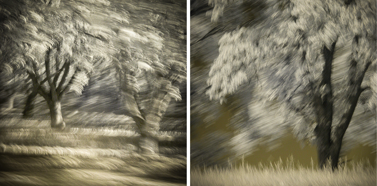infrared motion blur passenger seat trees forest orchard