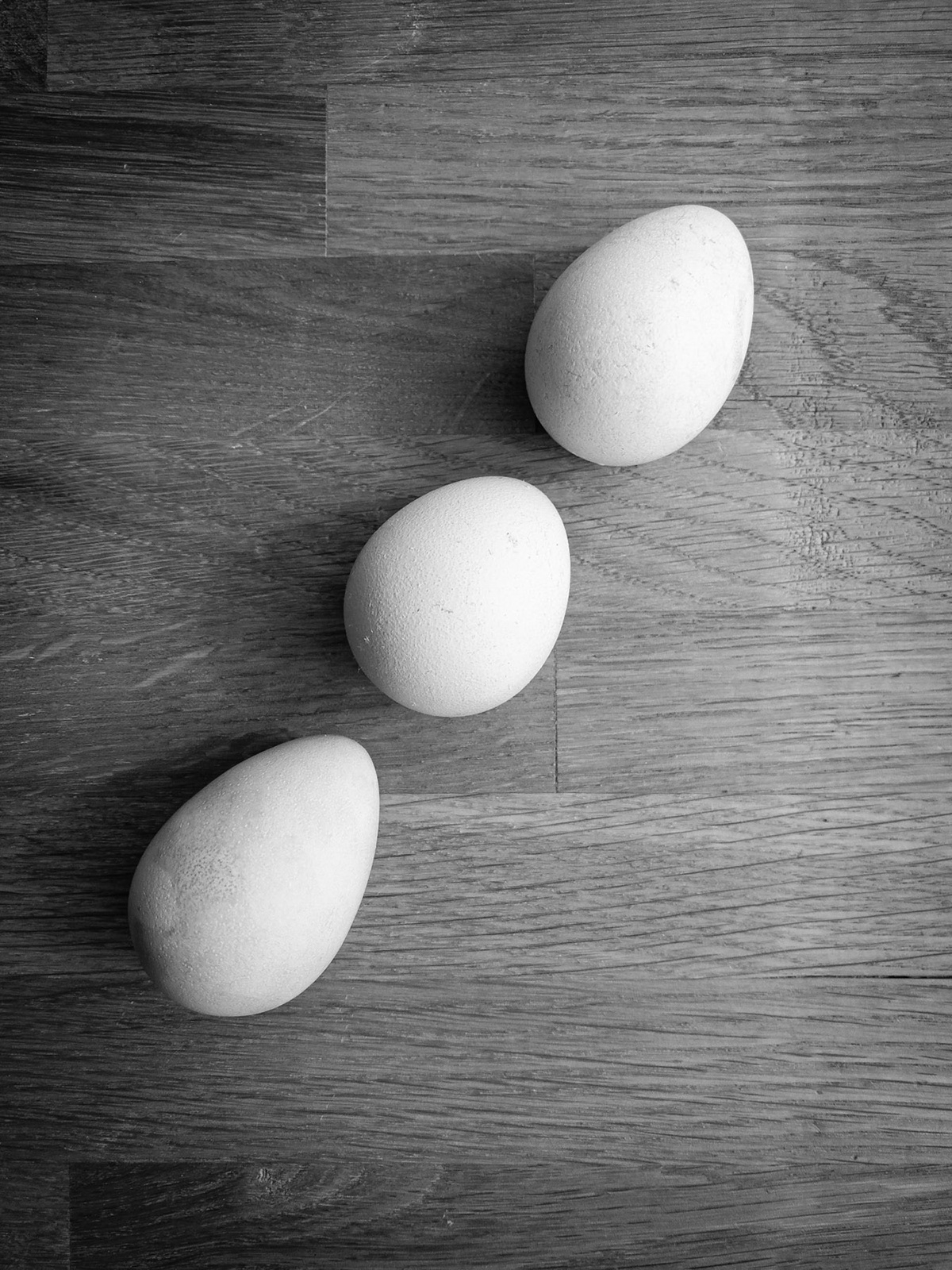 blackandwhite eggs guineafowl hardlight hen softlight Sun woodtable