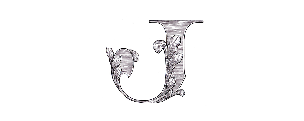 typography   lettering alphabet Acanthus anotheroutsider