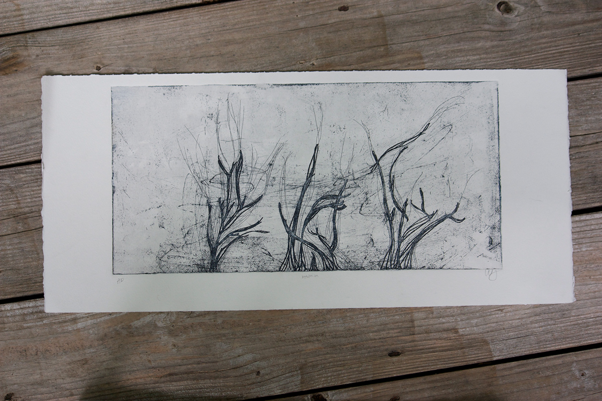 whitney stahl whitney lyn stahl etching print printmaking