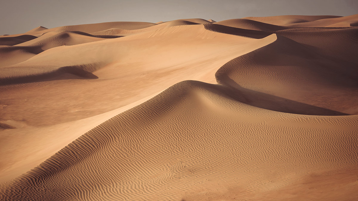 #photography #color #WildLife #animals #desert #dunes