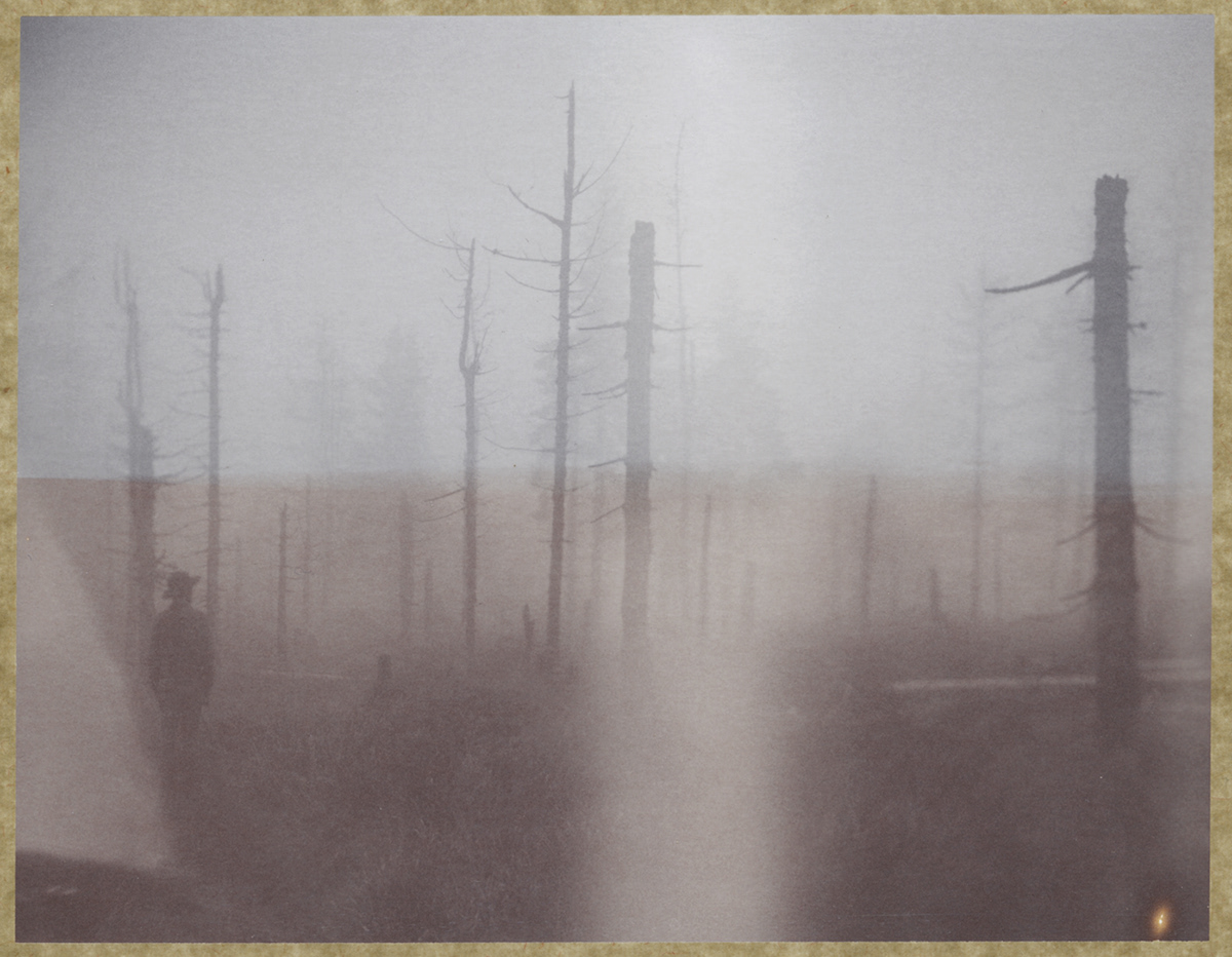 bastiank fog woods human POLAROID instant sepia 56 4x5 large format expired schachten Nature nationalpark bayerischer wald trees