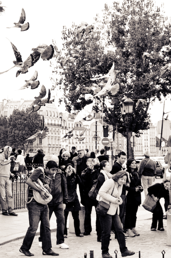 france birds birdman Paris notre dame bread smile old hands black and white John E Photography Street French pidgeon sparrow Wrinkles Nikon D300