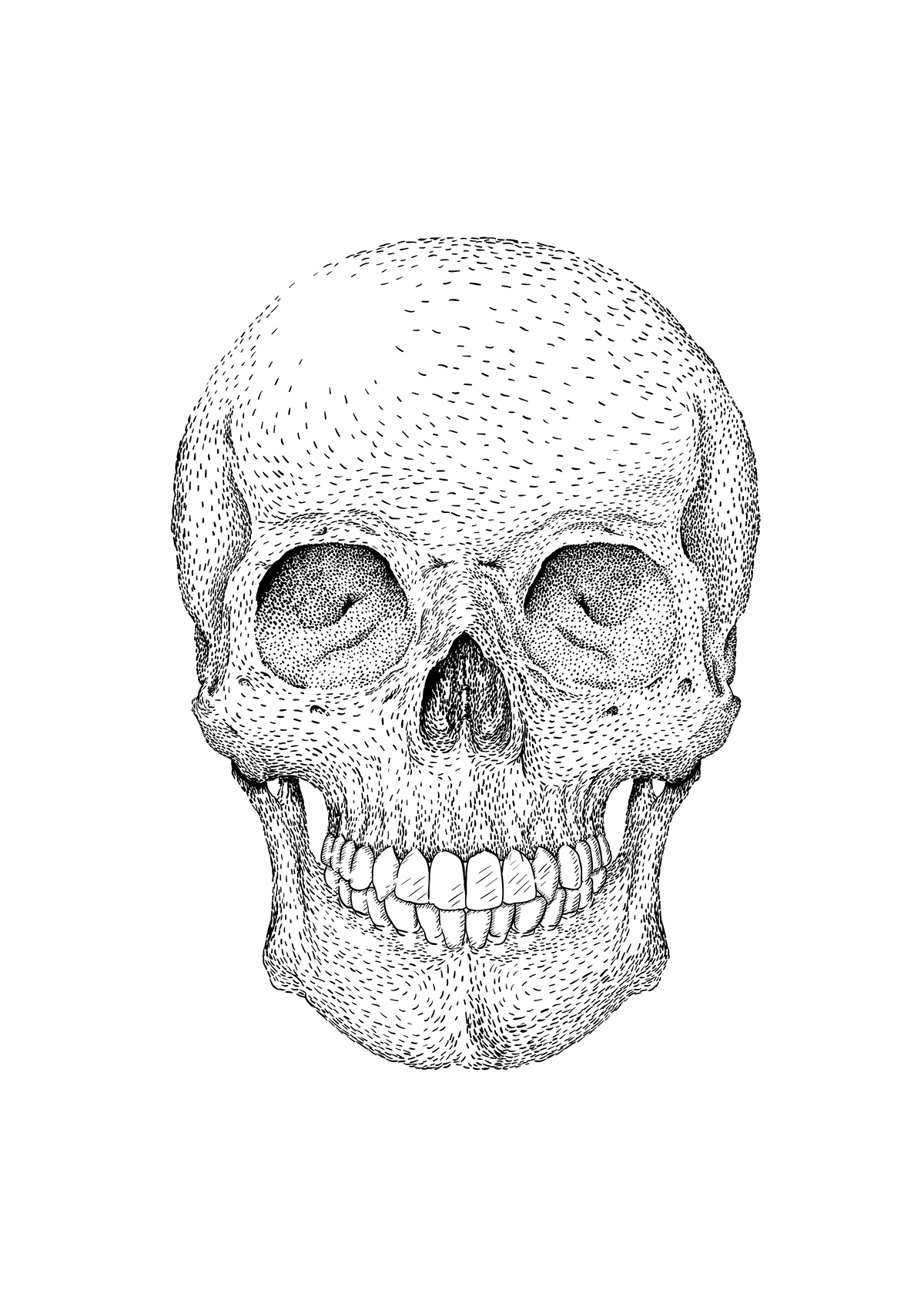Gun Dreamcatcher skull skeleton hand black and white Mockup free time animal death draw sketch ink inspire