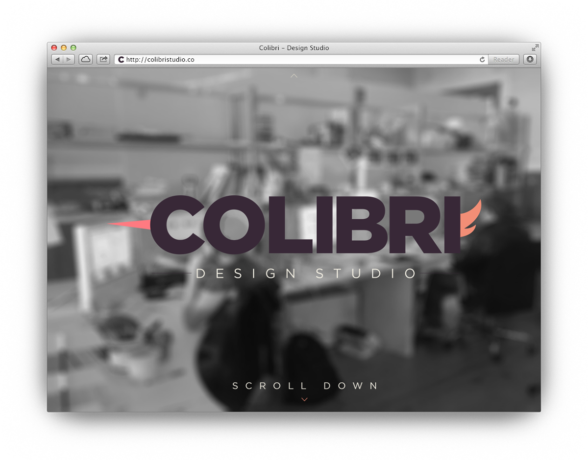 Web Website colibri Project Interface design graphic brand logo agency studio