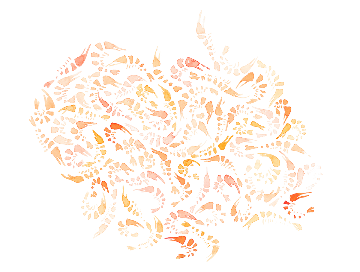 shrimp pattern digital