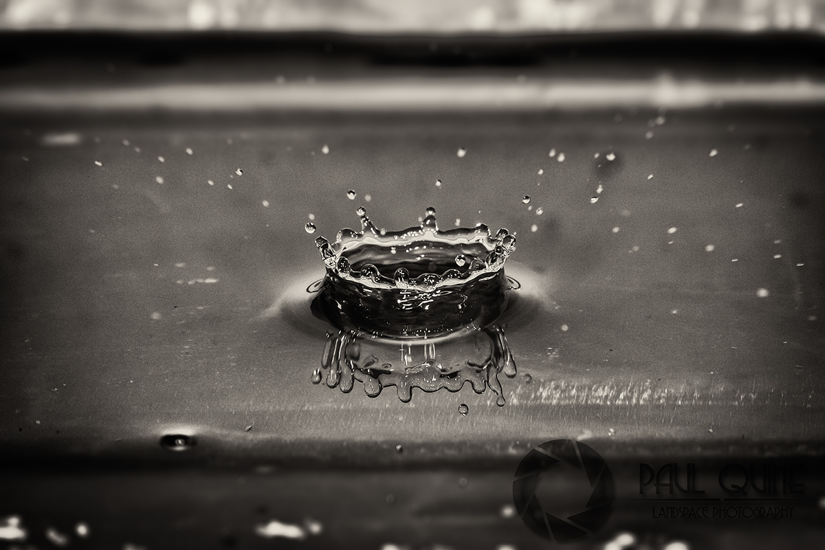 water Water Drops canon eos 60d Sigma 17-70mm black & white colour macro