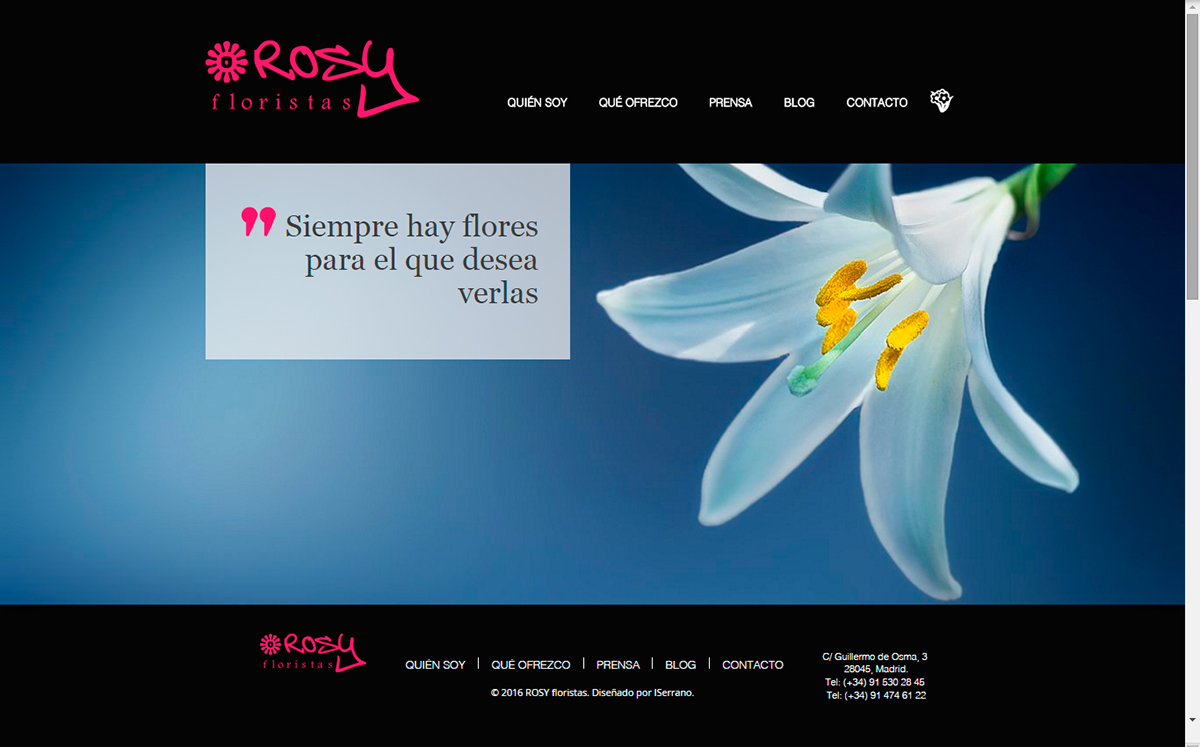 Floristería Web diseño tienda rosyfloristas