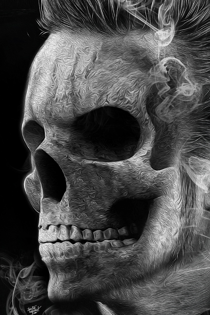 Rock'n Roll skull fantasmagorik nicolas obery photo fantastic curioos strange comic iron super heros crane human