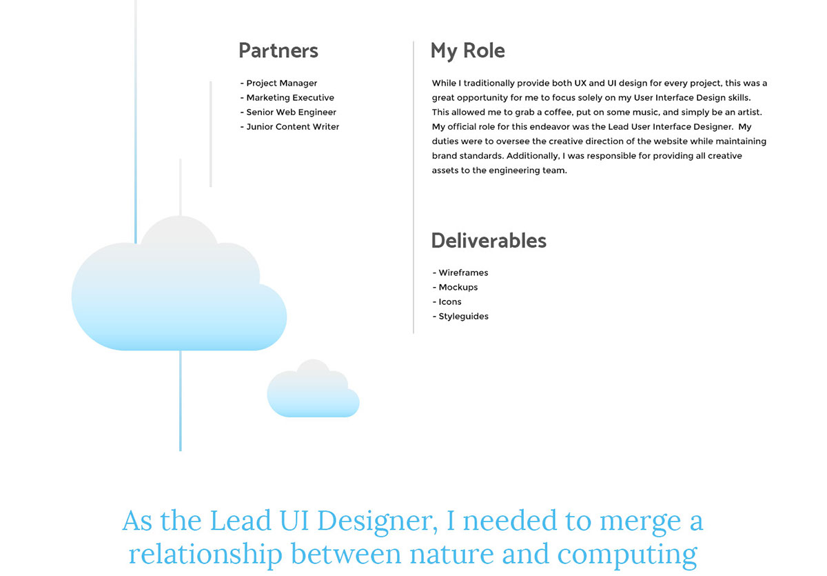 ui design UX design Web Design  cloud blue computing