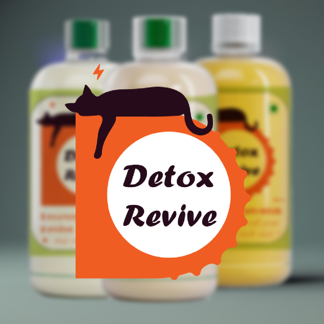 Detox Drink bottle design Packaging brand identity Logo Design visual identity Brand Design branding  Graphic Designer hangover