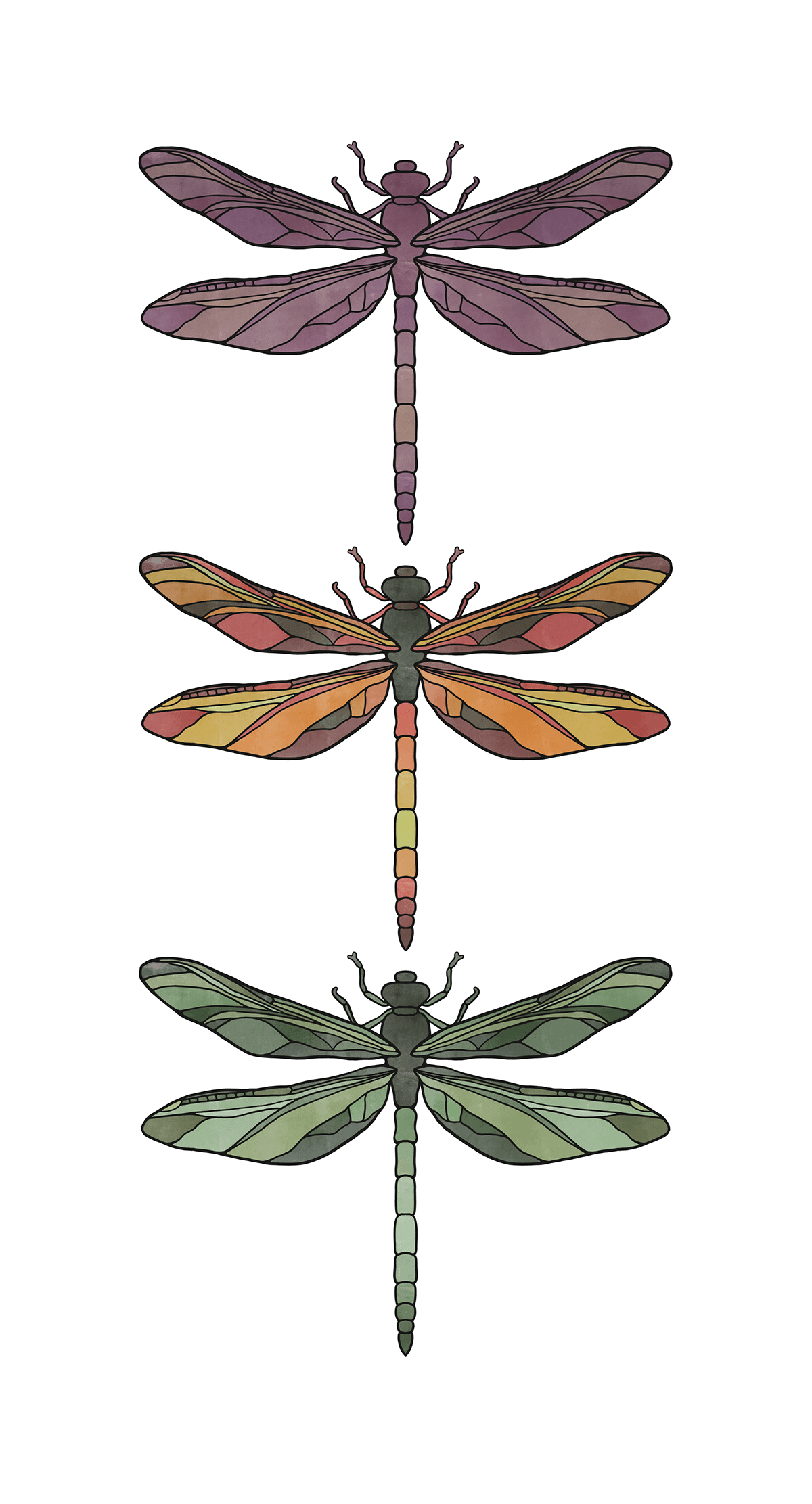 dragonfly insect linocut design Procreate artwork Digital Art  ILLUSTRATION  natalie scott bug