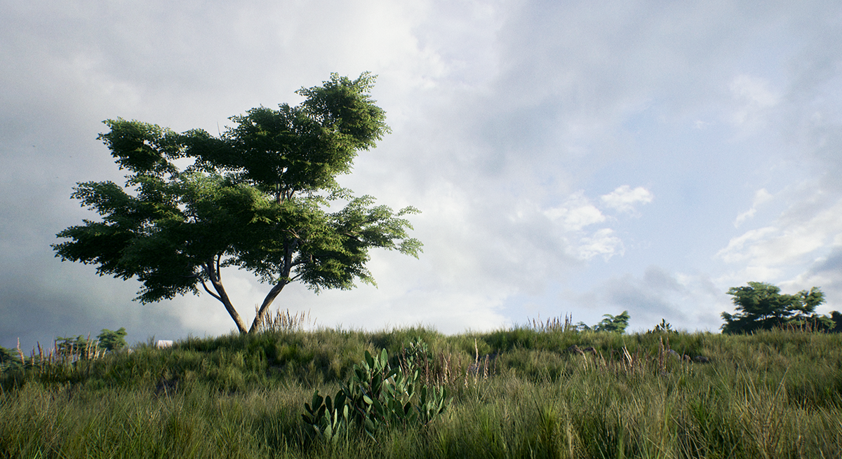 computer graphics CGI CG 3D Unreal Engine archviz 3d Foliage SpeedTree 3D environment real time rendering computer game game Videogames
